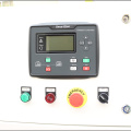 Générateur de biogaz électrique portable AVR à haute efficacité à haute efficacité AVR